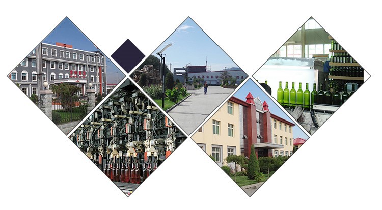 product-750-413 product-750-413